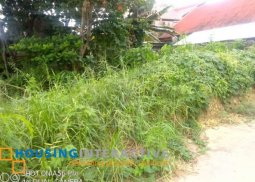 residential lot for sale in kabankalan, negros occidental