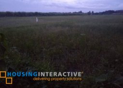 lot for sale in kabankalan, negros occidental