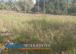 lot for sale in dauin, dumaguete city