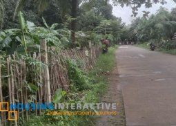 farm lot for sale in dumaguete city