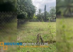 lot for sale in sibulan, dumaguete city