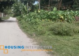 lot for sale in valencia, negros oriental