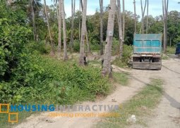lot for sale in dumaguete city, negros oriental