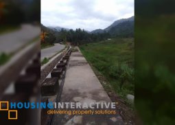 lot for sale in valencia, negros oriental