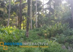 farm lot for sale in valencia, dumaguete city