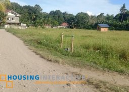 lot for sale in dumaguete city