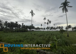 beach lot for sale in cauyan, negros occidental