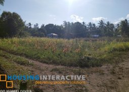lot for sale in dauin, dumaguete city