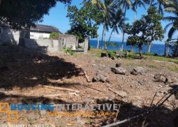 lot for sale in dauin, dumaguete city
