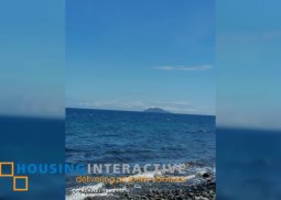 beach lot for sale in dauin, negros oriental