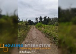 beach lot for sale in dauin, negros oriental