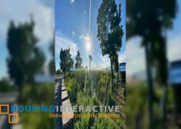 lot for sale in negros oriental