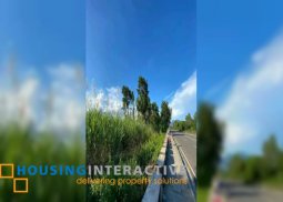 lot for sale in siaton, negros oriental