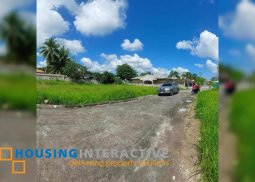 subdivided lots for sale in dumaguete city