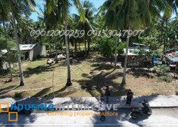 residential lot for sale in dumaguete city