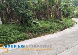 lot for sale in dumaguete city