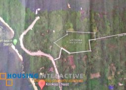 lot for sale in dumaguete city