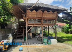 house for sale in dumaguete city