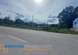 lot for sale in dumaguete city