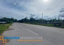 commercial lot for sale in dumaguete city