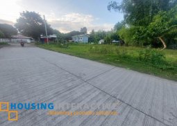 commercial lot for sale in dumaguete city