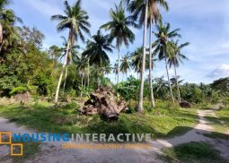 lot for sale in dumaguete city