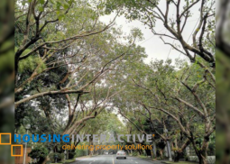 house for rent in dasmarinas village