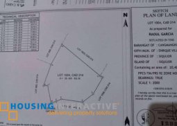 vacant lot for sale in brgy. cangmangki siquijor