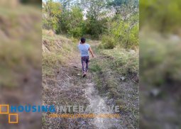 farm lot for sale in duero, bohol