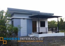 house and lot for sale in dauis, bohol
