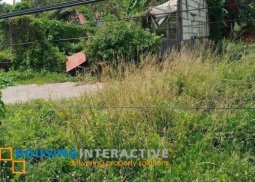 commercial/residential lot for sale in jagna, bohol