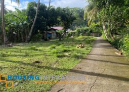 beach lot for sale in duero, bohol