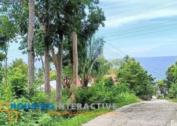 lot for sale in duero, bohol
