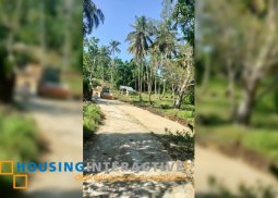 lot for sale in tambangan, loay, bohol
