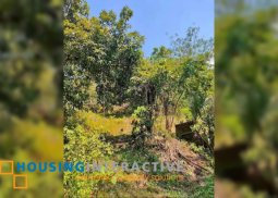 lot for sale in jagna, bohol