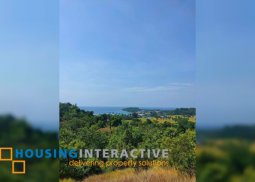 lot for sale in jagna, bohol