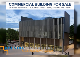 4 floors commercial building for sale in pasay city