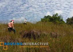 residential/commercial lot for sale in jagna, bohol