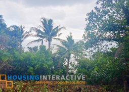 cliff lot for sale in jagna, bohol