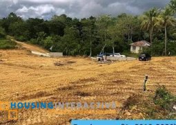 residential lot for sale in tagbilaran city, bohol