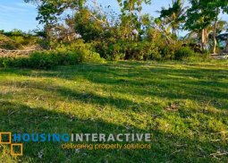 beach lot for sale in guindulman, bohol