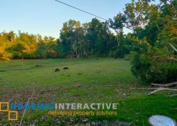 beach lot for sale in guindulman, bohol