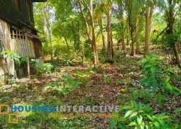 lot for sale in duero, bohol