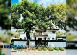 2-storey house and lot for sale in dasmarinas village