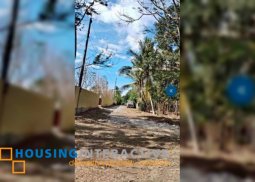 farm lot for sale in bacolod city, negros occidental
