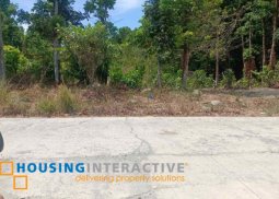 lot for sale in murcia, negros occidental