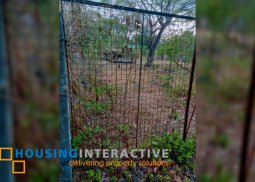 farm lot for sale in murcia, negros occidental