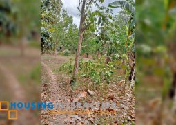 lot for sale in bacolod city, neros occidental