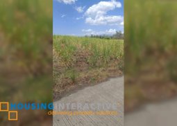 sugarcane lot for sale in bacolod city, negros occidental