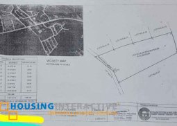 commercial lot for sale in victorias, negros occidental
